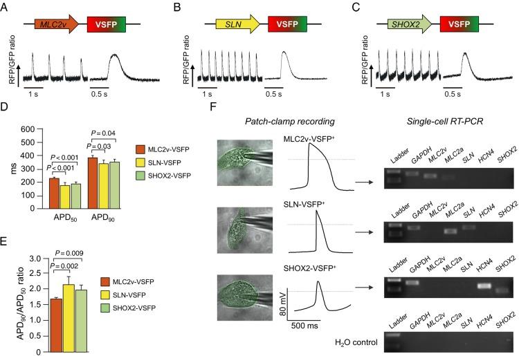 https://cdn.ncbi.nlm.nih.gov/pmc/blobs/201b/5381588/5e3770297e23/ehw18903.jpg