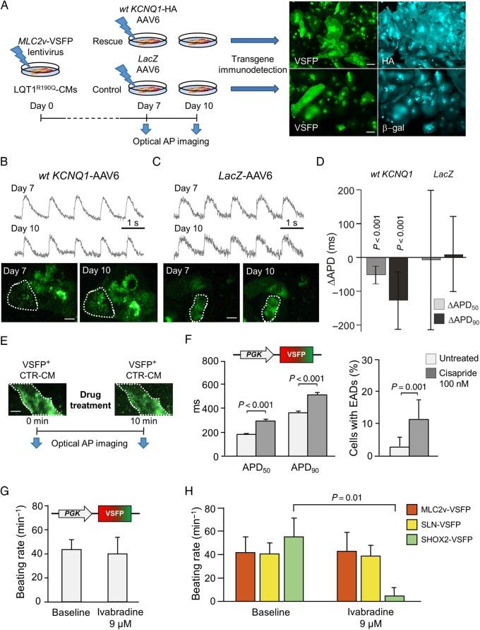 https://cdn.ncbi.nlm.nih.gov/pmc/blobs/201b/5381588/ac4cfa0df476/ehw18905.jpg