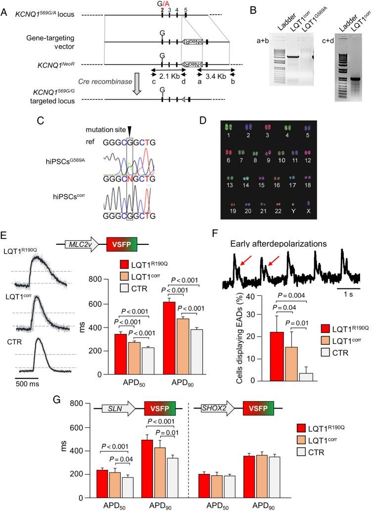 https://cdn.ncbi.nlm.nih.gov/pmc/blobs/201b/5381588/f28d3e1c7260/ehw18904.jpg