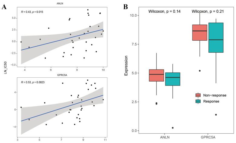 https://cdn.ncbi.nlm.nih.gov/pmc/blobs/201c/12071644/b31456784ffc/ijms-26-03936-g0A2.jpg