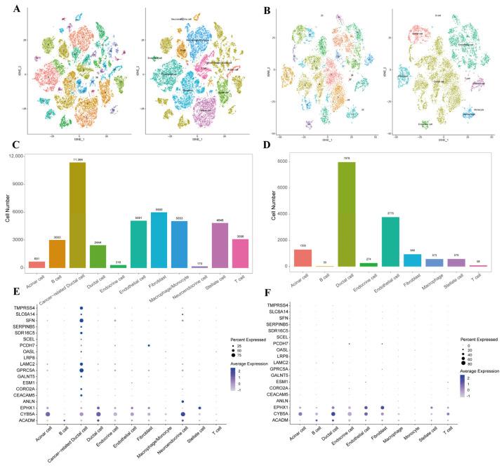 https://cdn.ncbi.nlm.nih.gov/pmc/blobs/201c/12071644/d4515b95bdcb/ijms-26-03936-g003.jpg