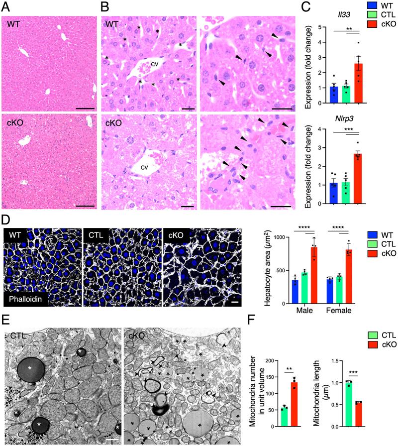 https://cdn.ncbi.nlm.nih.gov/pmc/blobs/201c/12408054/0caf70322f3b/KAUO_A_2551028_F0002_OC.jpg