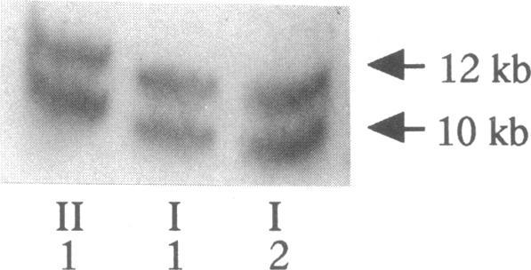 https://cdn.ncbi.nlm.nih.gov/pmc/blobs/201e/288397/395f7346caee/jcinvest00043-0110-a.jpg