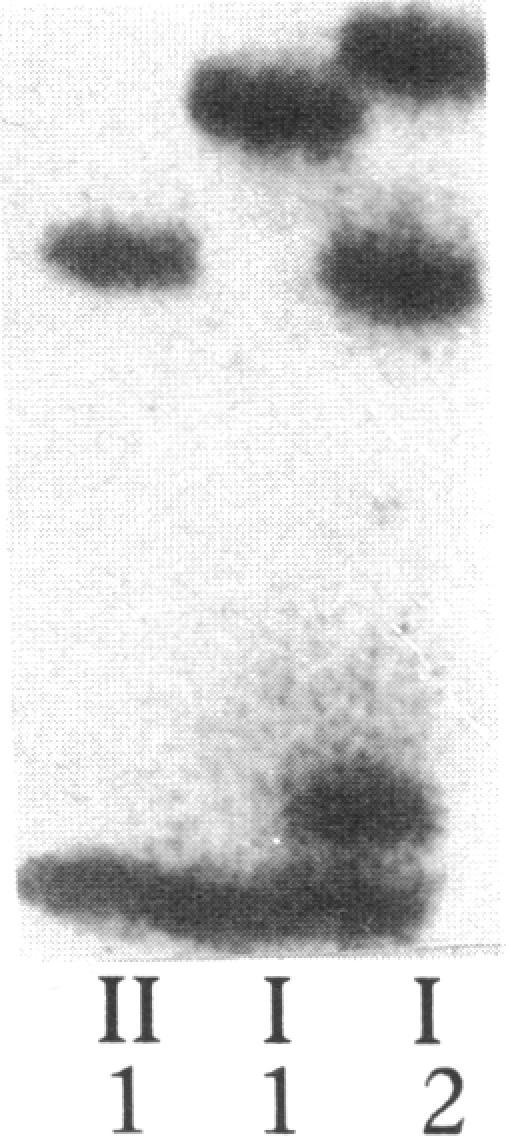 https://cdn.ncbi.nlm.nih.gov/pmc/blobs/201e/288397/bdb3d5ad84f4/jcinvest00043-0109-c.jpg