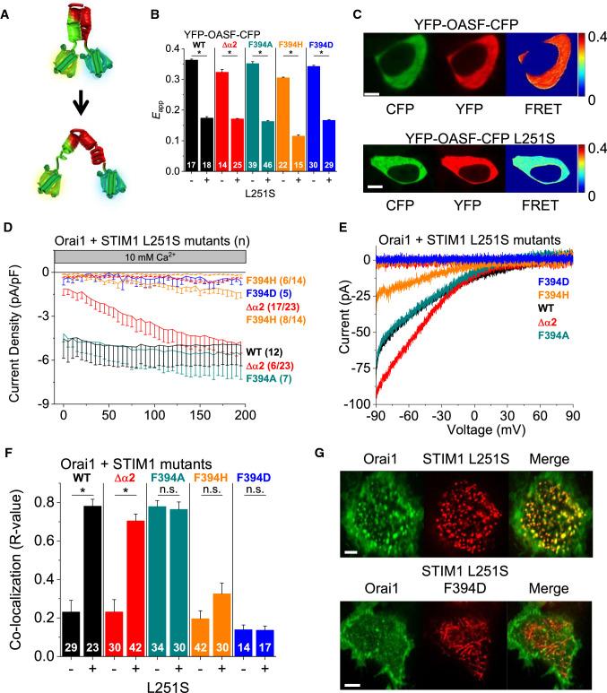 https://cdn.ncbi.nlm.nih.gov/pmc/blobs/2020/11072211/efeb03d0ba2b/18_2021_3933_Fig3_HTML.jpg