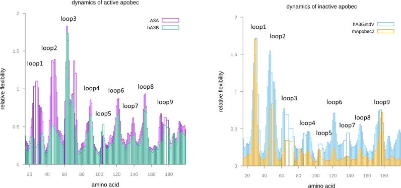 https://cdn.ncbi.nlm.nih.gov/pmc/blobs/2020/5435981/447f9d81e113/gkx196fig9.jpg
