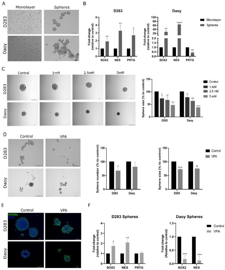 https://cdn.ncbi.nlm.nih.gov/pmc/blobs/2021/11763699/0930ccaef19d/cells-14-00072-g003.jpg