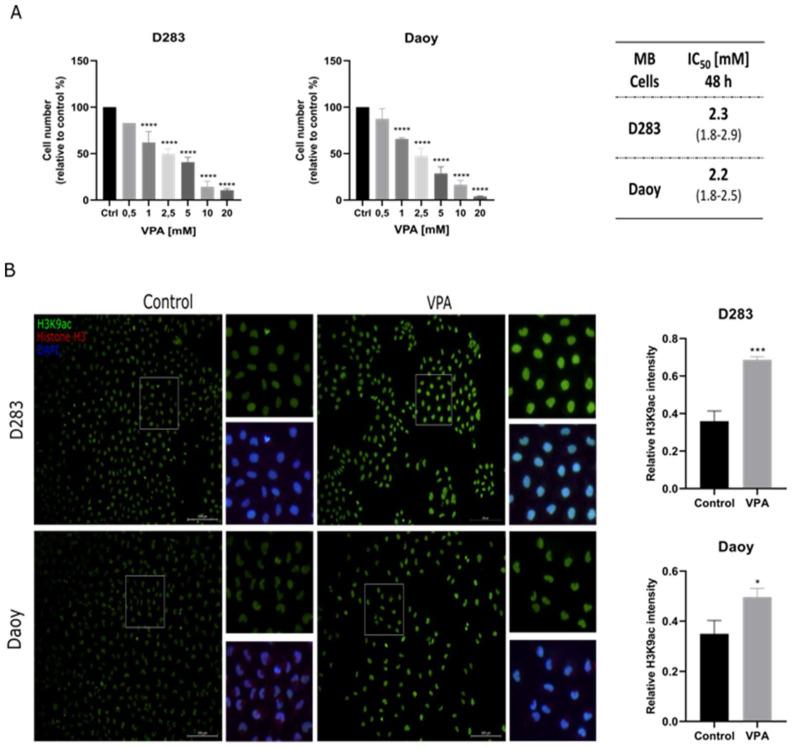 https://cdn.ncbi.nlm.nih.gov/pmc/blobs/2021/11763699/7de8f4f7281c/cells-14-00072-g001.jpg