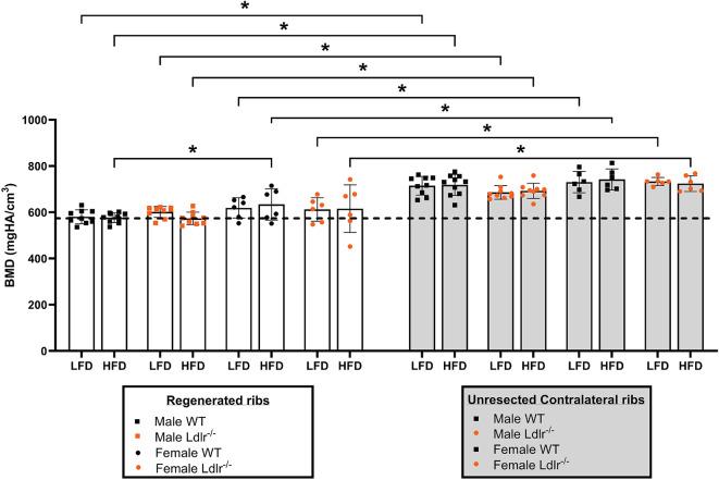 https://cdn.ncbi.nlm.nih.gov/pmc/blobs/2025/11514207/317ba3c59609/41598_2024_76992_Fig4_HTML.jpg