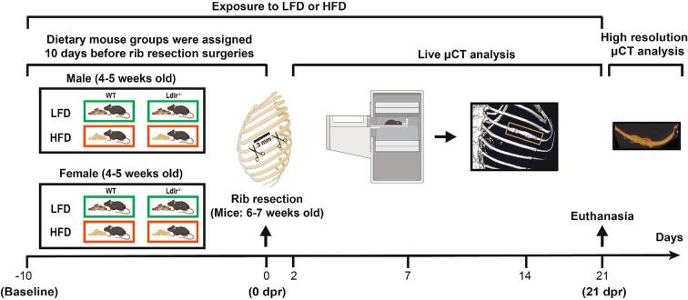 https://cdn.ncbi.nlm.nih.gov/pmc/blobs/2025/11514207/9d97b7f95ae7/41598_2024_76992_Fig1_HTML.jpg