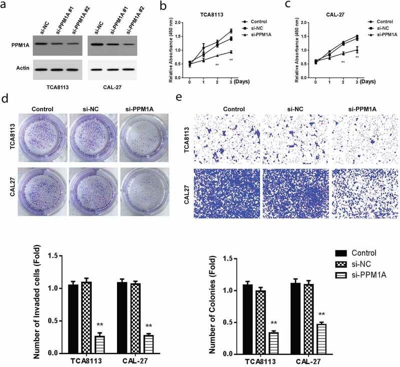 https://cdn.ncbi.nlm.nih.gov/pmc/blobs/2025/8291853/81830d9cc767/KBIE_A_1884396_F0004_OC.jpg