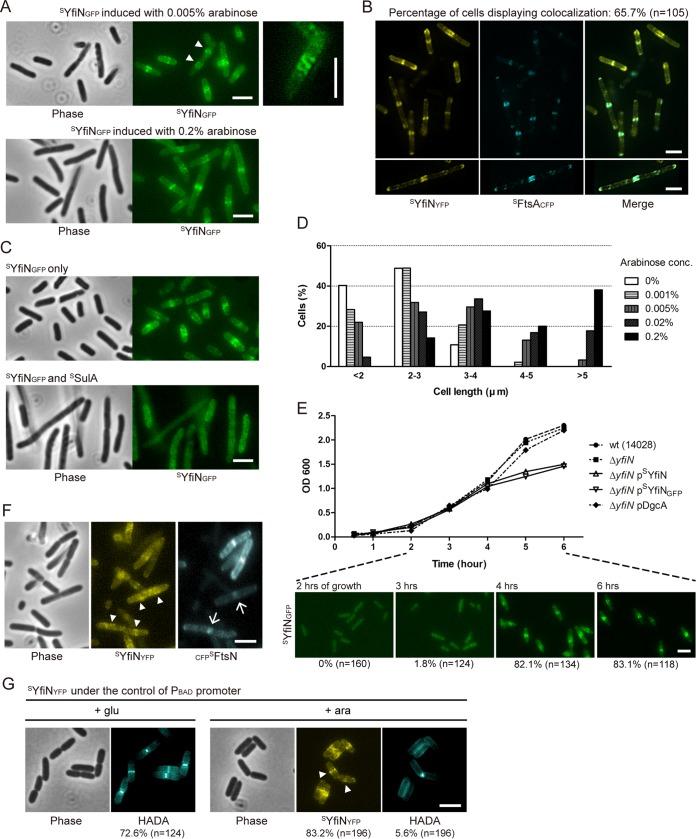 https://cdn.ncbi.nlm.nih.gov/pmc/blobs/2026/4992967/df01af9de505/mbo0041629240002.jpg