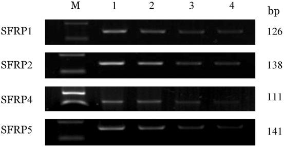 https://cdn.ncbi.nlm.nih.gov/pmc/blobs/2026/7342293/968ccab6ebaf/cjh-37-01-051-g001.jpg