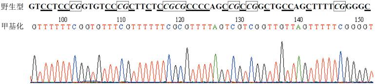 https://cdn.ncbi.nlm.nih.gov/pmc/blobs/2026/7342293/a08defb0d337/cjh-37-01-051-g002.jpg