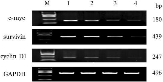 https://cdn.ncbi.nlm.nih.gov/pmc/blobs/2026/7342293/cebc39a42754/cjh-37-01-051-g005.jpg