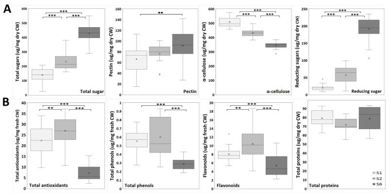 https://cdn.ncbi.nlm.nih.gov/pmc/blobs/2029/11989001/786e71fad6e9/ijms-26-02946-g004.jpg