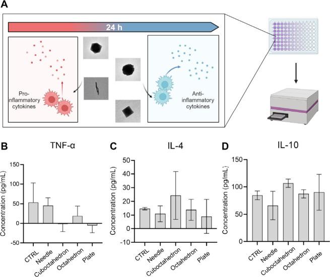 https://cdn.ncbi.nlm.nih.gov/pmc/blobs/202b/11849021/e4756465820b/nl4c05999_0005.jpg