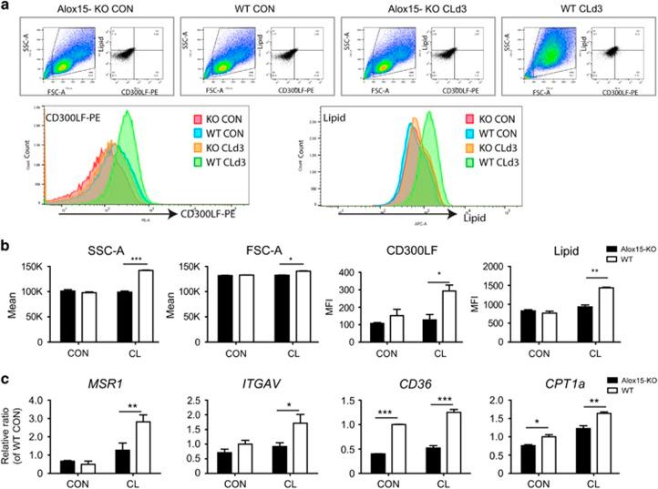https://cdn.ncbi.nlm.nih.gov/pmc/blobs/202b/5108340/1f9410e7196f/cddis2016190f6.jpg