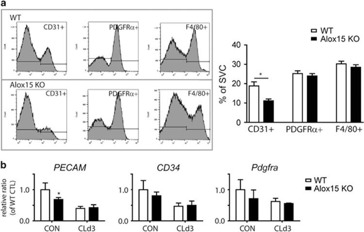 https://cdn.ncbi.nlm.nih.gov/pmc/blobs/202b/5108340/274cdce70536/cddis2016190f5.jpg