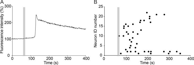 https://cdn.ncbi.nlm.nih.gov/pmc/blobs/202b/5256952/719b010845de/pone.0170528.g006.jpg