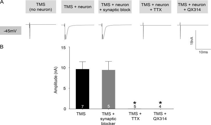 https://cdn.ncbi.nlm.nih.gov/pmc/blobs/202b/5256952/7da690e2472a/pone.0170528.g003.jpg