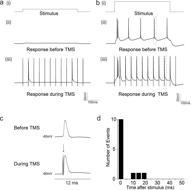 https://cdn.ncbi.nlm.nih.gov/pmc/blobs/202b/5256952/7f0d7afc7086/pone.0170528.g005.jpg