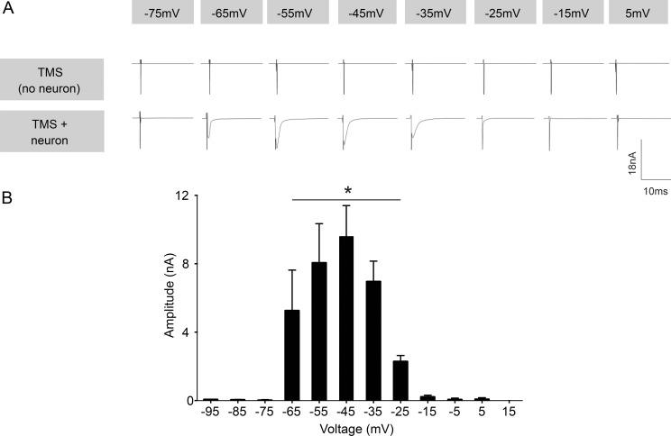 https://cdn.ncbi.nlm.nih.gov/pmc/blobs/202b/5256952/7fe4ddffba80/pone.0170528.g002.jpg