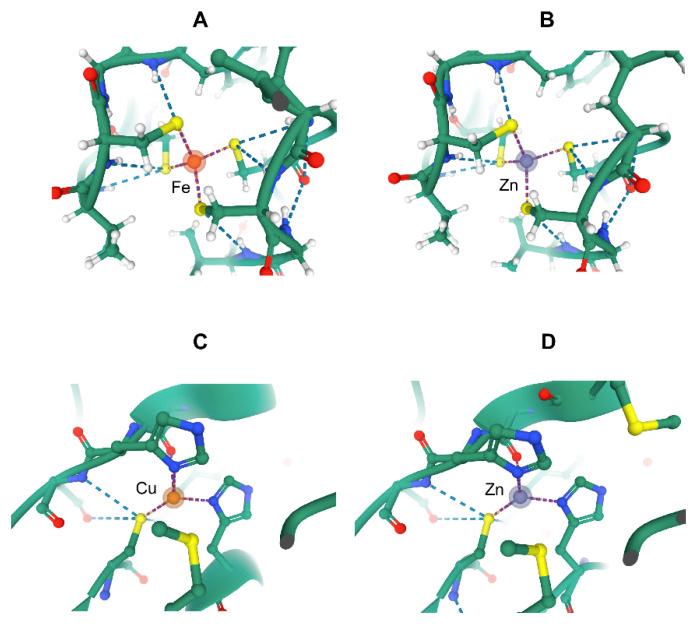 https://cdn.ncbi.nlm.nih.gov/pmc/blobs/202b/7700505/1f2b7f8fe9b3/biomolecules-10-01584-g002.jpg