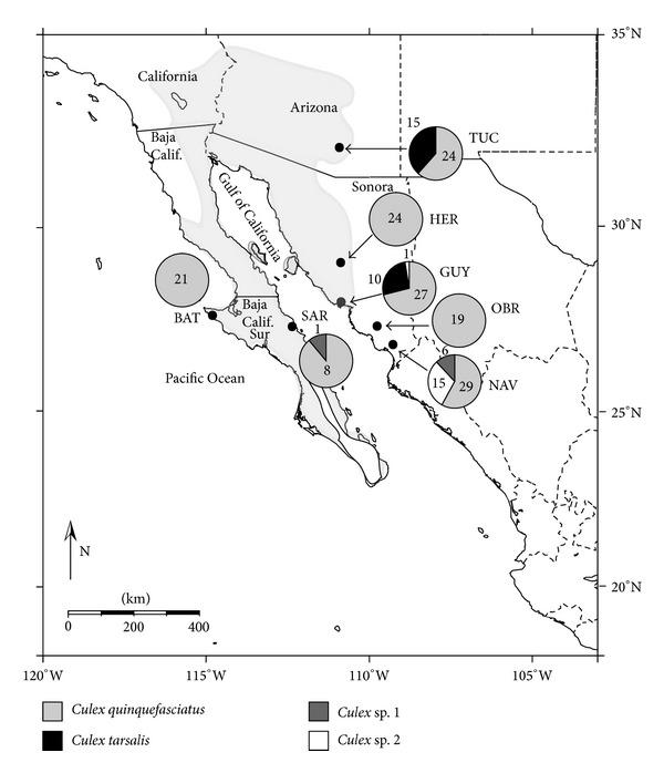 https://cdn.ncbi.nlm.nih.gov/pmc/blobs/202c/3835805/acae03611f8c/TSWJ2013-724609.001.jpg
