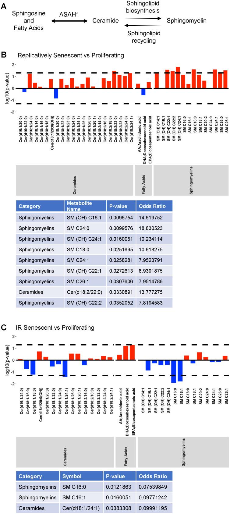 https://cdn.ncbi.nlm.nih.gov/pmc/blobs/202c/8266329/169047403bb4/aging-13-203170-g002.jpg