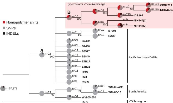 https://cdn.ncbi.nlm.nih.gov/pmc/blobs/202d/5614558/302475679c36/elife-28802-fig8.jpg