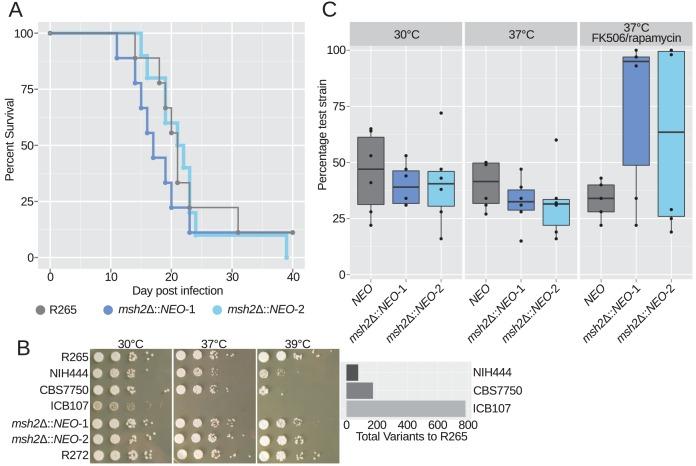 https://cdn.ncbi.nlm.nih.gov/pmc/blobs/202d/5614558/e0df8dbf778c/elife-28802-fig7.jpg