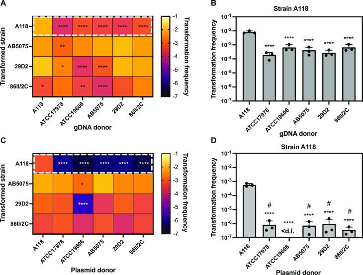 https://cdn.ncbi.nlm.nih.gov/pmc/blobs/202e/10287943/8ae7204d0095/gkad377fig1.jpg