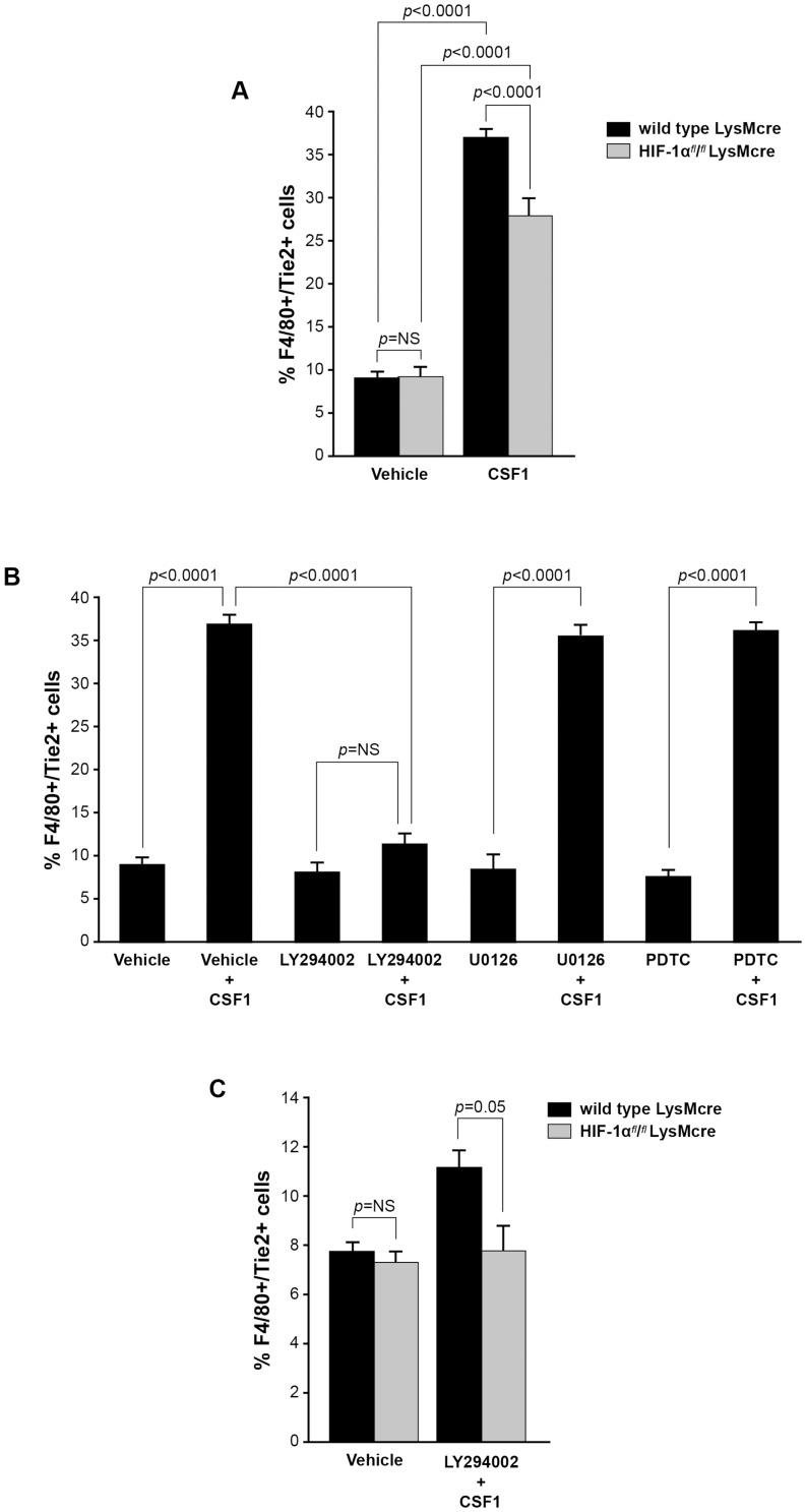 https://cdn.ncbi.nlm.nih.gov/pmc/blobs/2030/4043882/0f68ec6e1ac2/pone.0098623.g006.jpg
