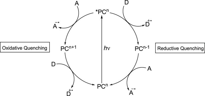 https://cdn.ncbi.nlm.nih.gov/pmc/blobs/2031/10161236/d9ddd8fd129b/ja3c01000_0001.jpg