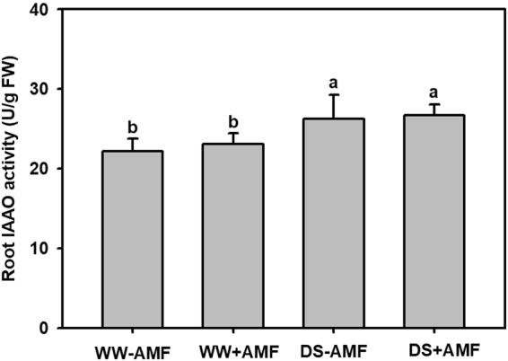 https://cdn.ncbi.nlm.nih.gov/pmc/blobs/2031/5792640/17db0d50061d/41598_2018_20456_Fig4_HTML.jpg