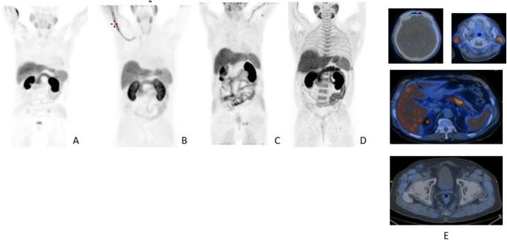 https://cdn.ncbi.nlm.nih.gov/pmc/blobs/2033/8218094/06ddfb81d084/41824_2019_66_Fig19_HTML.jpg