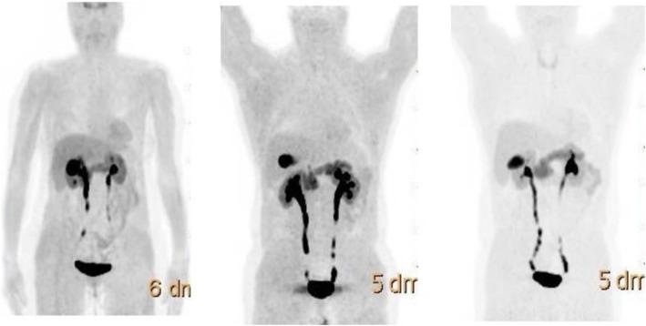 https://cdn.ncbi.nlm.nih.gov/pmc/blobs/2033/8218094/2c0b600bcaa1/41824_2019_66_Fig38_HTML.jpg
