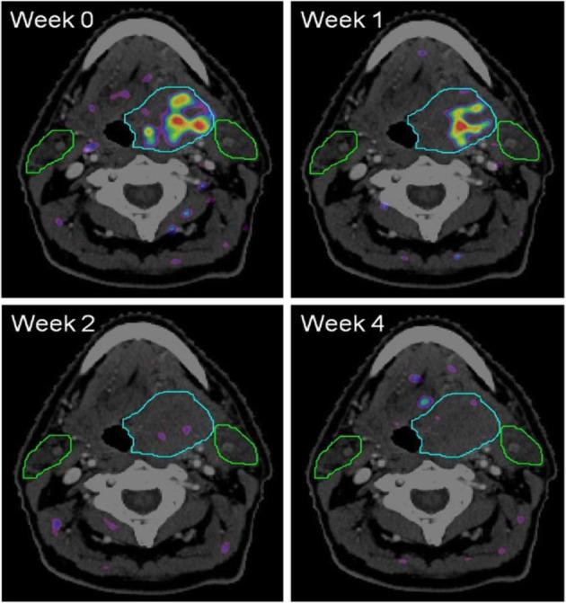 https://cdn.ncbi.nlm.nih.gov/pmc/blobs/2033/8218094/2f18d8d838ba/41824_2019_66_Fig68_HTML.jpg