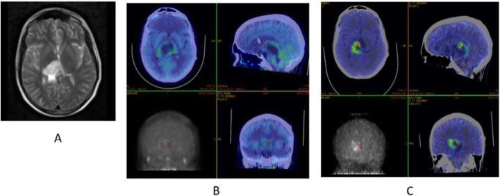 https://cdn.ncbi.nlm.nih.gov/pmc/blobs/2033/8218094/7c3d3c5c5ddb/41824_2019_66_Fig67_HTML.jpg
