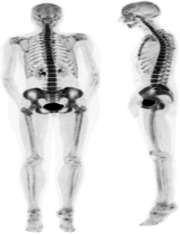 https://cdn.ncbi.nlm.nih.gov/pmc/blobs/2033/8218094/bb92046b077c/41824_2019_66_Fig69_HTML.jpg