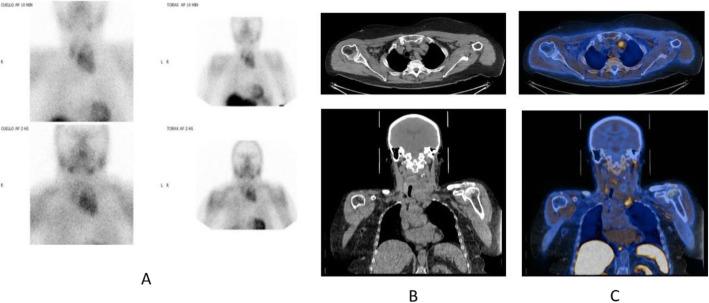https://cdn.ncbi.nlm.nih.gov/pmc/blobs/2033/8218094/d9aab6f10c29/41824_2019_66_Fig18_HTML.jpg