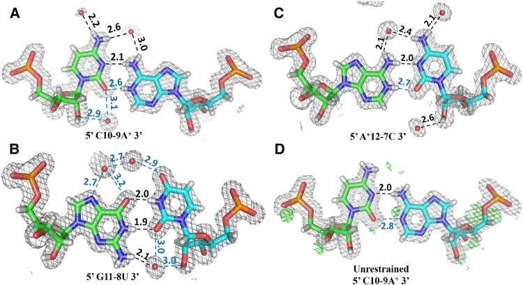 https://cdn.ncbi.nlm.nih.gov/pmc/blobs/2034/5769748/b1a851771e2f/209f02.jpg