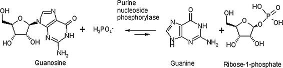 https://cdn.ncbi.nlm.nih.gov/pmc/blobs/2035/2832885/4dd631bbe08e/792_2009_297_Fig1_HTML.jpg