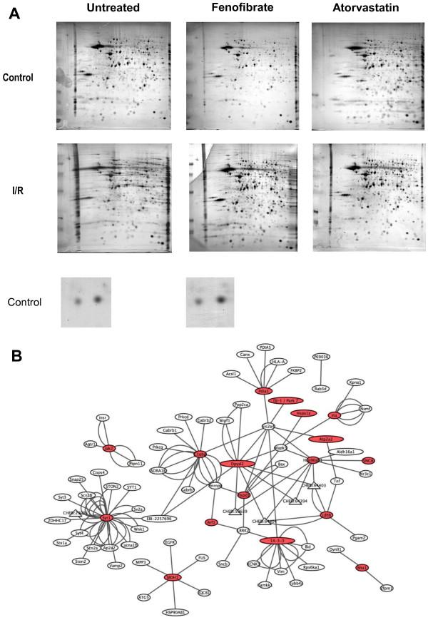 https://cdn.ncbi.nlm.nih.gov/pmc/blobs/2035/4061923/2483dd7c5737/1477-5956-12-24-1.jpg