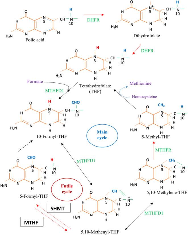 https://cdn.ncbi.nlm.nih.gov/pmc/blobs/2036/12079205/51ebab3c65b0/ao5c00251_0004.jpg