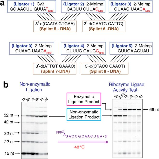https://cdn.ncbi.nlm.nih.gov/pmc/blobs/2037/9594310/2e8437113556/ja0c06722_0003.jpg