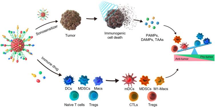 https://cdn.ncbi.nlm.nih.gov/pmc/blobs/2039/11566213/8b94daa5acd6/IJN-19-11767-g0005.jpg
