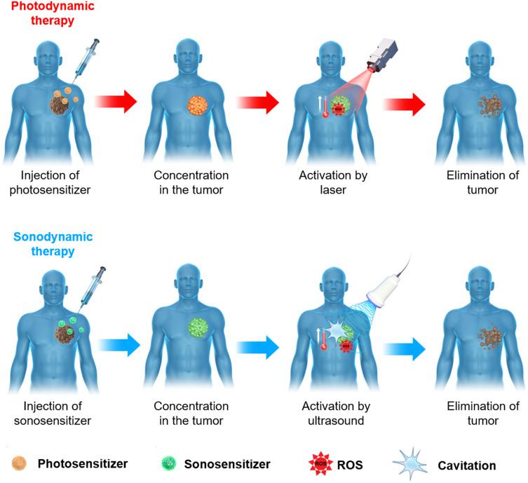 https://cdn.ncbi.nlm.nih.gov/pmc/blobs/2039/11566213/f53d816b9534/IJN-19-11767-g0004.jpg