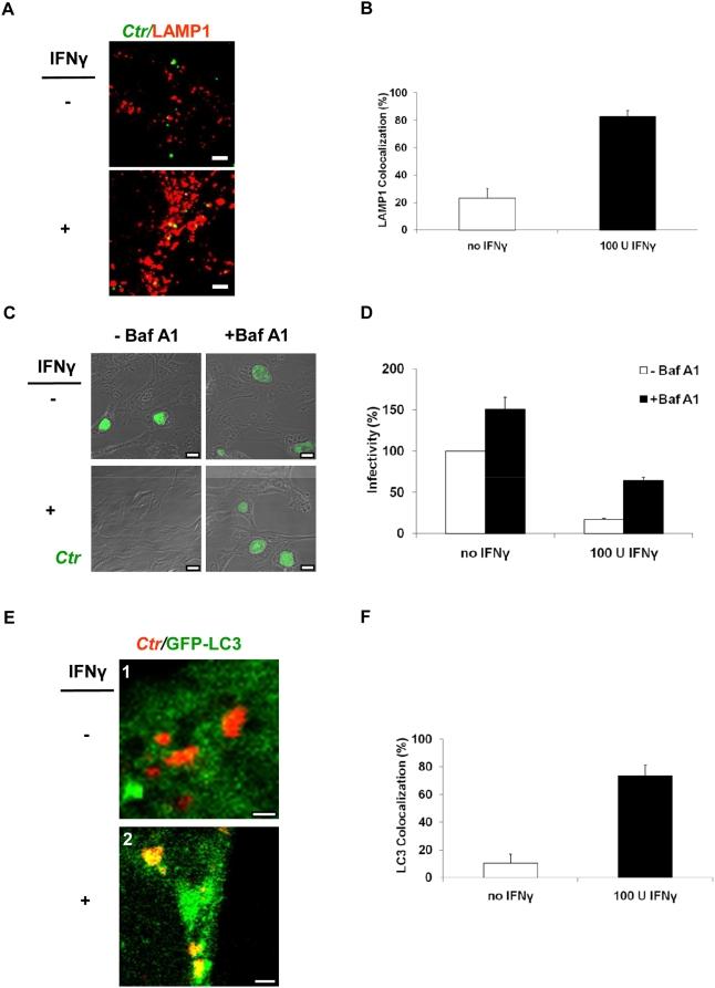 https://cdn.ncbi.nlm.nih.gov/pmc/blobs/203b/2643846/ebcffa8a29d1/pone.0004588.g003.jpg